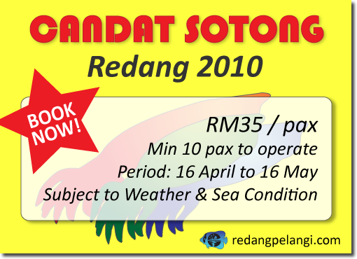 Candat Sotong 2010 at Redang Pelangi