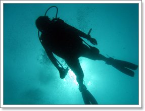 Redang Pelangi Diver